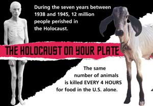 The Holocaust On Your Plate